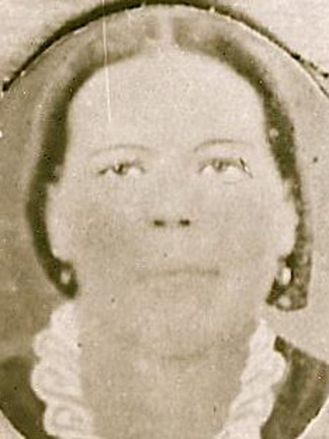 Mary Ann Elsey (1828 - 1871) Profile